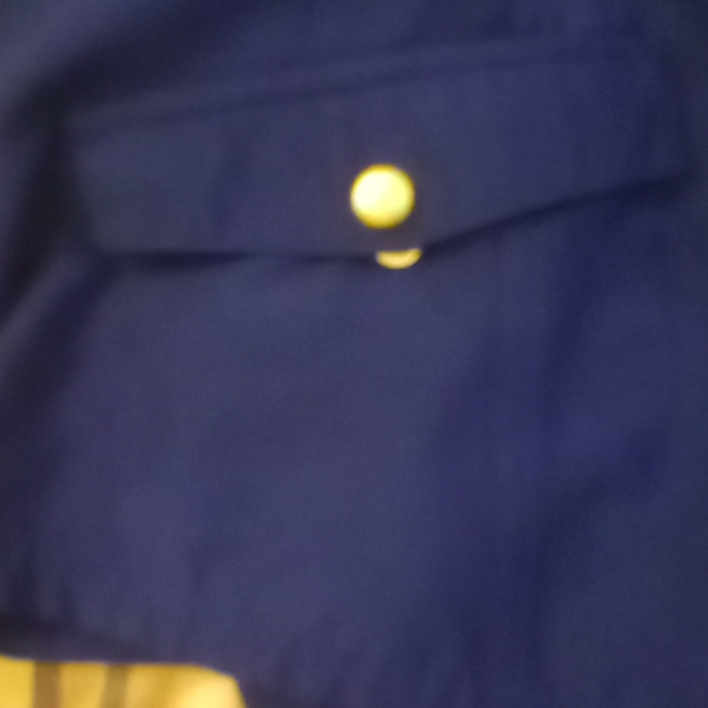 Shorts - Picture 4 of 4